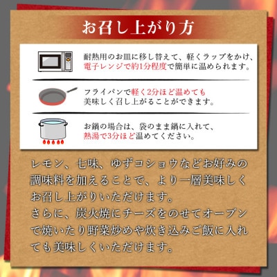 宮崎名物 炭火バラエティーセット