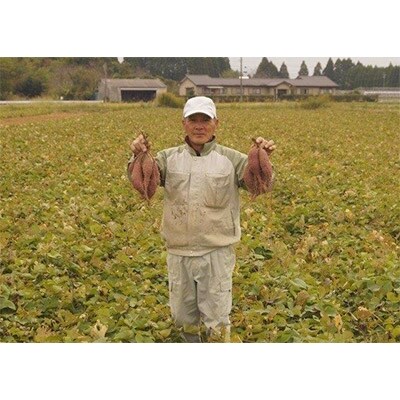 原農園 国富金時セット(蜜芋400g×5袋・干芋150g×3袋)