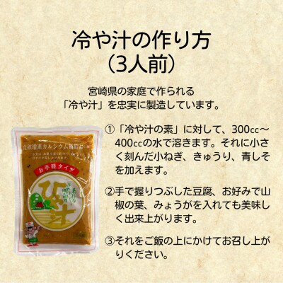 宮崎郷土料理　冷や汁　10個セット