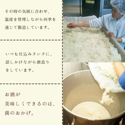 純米濁酒しこたま　甘辛セット