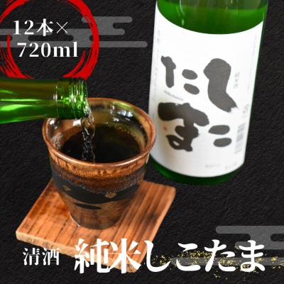 清酒　純米酒しこたま　720ml　12本セット