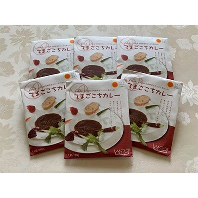 てまごこちカレー6食セット