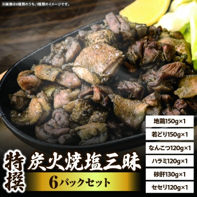 特選　塩三昧　6パックセット