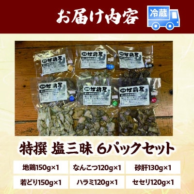 特選　塩三昧　6パックセット