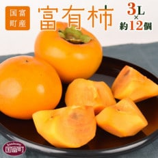 富有柿　3Lサイズ12個入り　4kg　宮崎県国富町