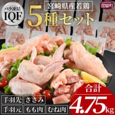 宮崎県産若鶏肉IQF 5種セット 4.75kg