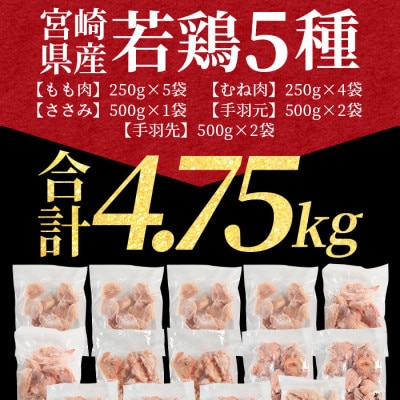 宮崎県産若鶏肉IQF 5種セット 4.75kg