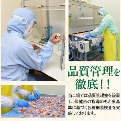 宮崎県産若鶏切身5.1kg(むね肉300g×12袋 もも肉300g×5袋)