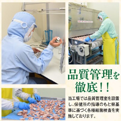 宮崎県産若鶏カット肉　もも肉2.4kg(300g×8袋)