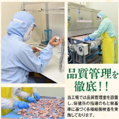 宮崎県産若鶏カット肉　むね肉1.2kg・もも肉1.2kg(合計2.4kg)