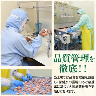 宮崎県産若鶏カット肉　むね肉2.4kg・もも肉2.4kg(合計4.8kg)