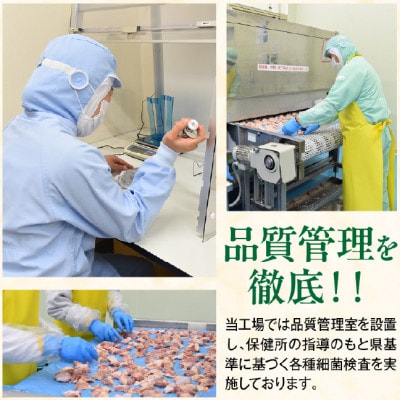 宮崎県産若鶏カット肉　むね肉2.4kg