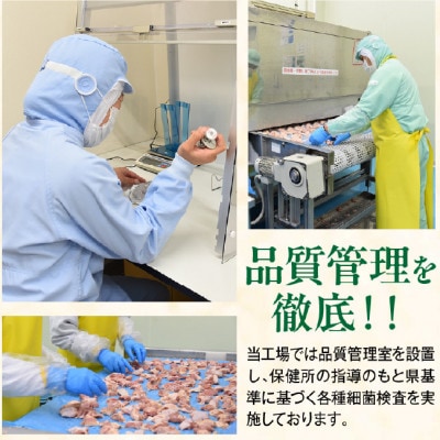 宮崎県産若鶏カット肉　むね肉3kg・もも肉3kg(合計6kg)