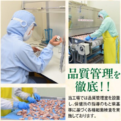 宮崎県産若鶏カット肉　もも肉4.8kg