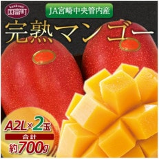 数量限定!完熟マンゴー A等級 2Lサイズ&times;2玉(合計約700g)(国富町)