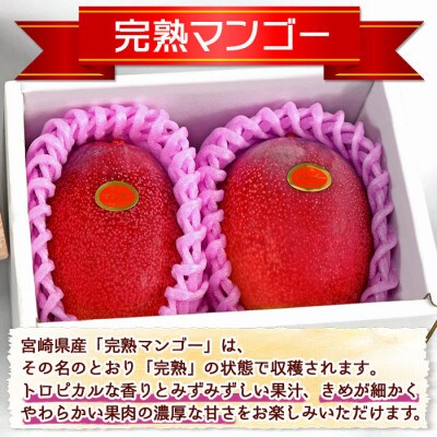 数量限定!完熟マンゴー A等級 2Lサイズ×2玉(合計約700g)(国富町)