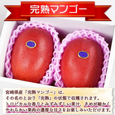 数量限定!完熟マンゴー B等級 3Lサイズ×2玉(合計約900g)(国富町)