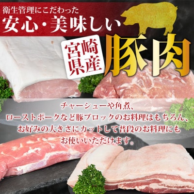 宮崎県産豚肉ブロック 4種セット(ヒレ・ロース・モモ・バラ)合計3.5kg
