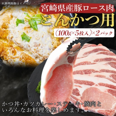 宮崎県産豚肉 『とんかつ用』セット(ロース・ヒレ)合計2.0kg