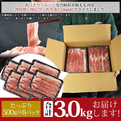 宮崎県産豚モモスライス 合計3.0kg(500g×6)