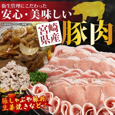 宮崎県産豚ローススライス 合計1.8kg(300g×6)
