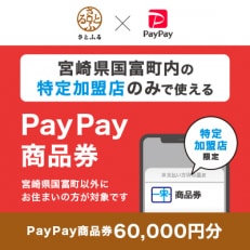 宮崎県国富町　PayPay商品券(60,000円分)※地域内の一部の加盟店のみで利用可