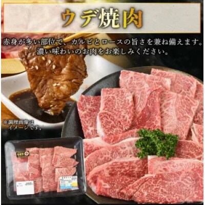 宮崎牛ウデ焼肉 400g+宮崎県産黒毛和牛こま切れ100g(国富町)