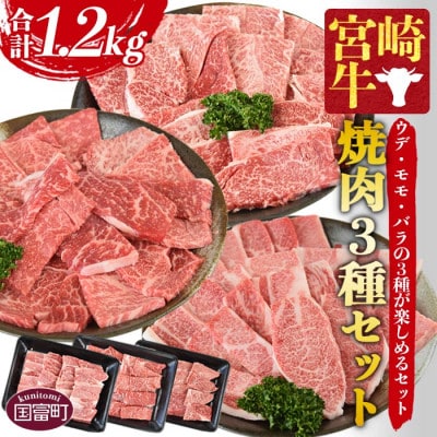 宮崎牛 焼肉 3種セット(ウデ・モモ・バラ)合計1.2kg(国富町)