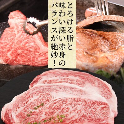【生産者応援/数量限定】 宮崎牛ロースステーキ 250g(1枚)(国富町)