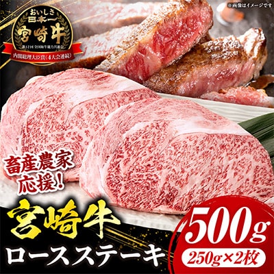 【生産者応援/数量限定】 宮崎牛ロースステーキ 500g(2枚)(国富町)