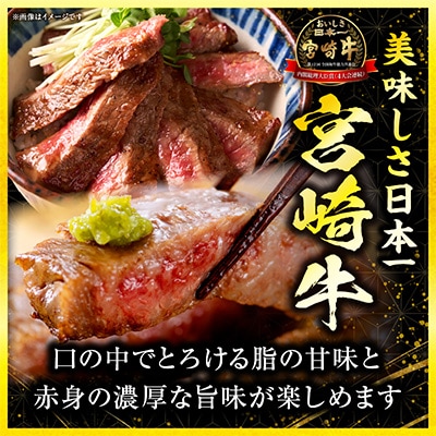 【生産者応援/数量限定】 宮崎牛ロースステーキ 500g(2枚)(国富町)