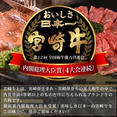 【生産者応援/数量限定】 宮崎牛ロースステーキ 500g(2枚)(国富町)