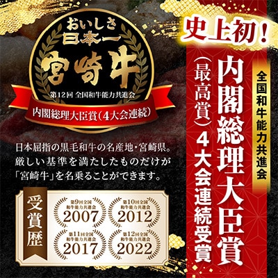 【生産者応援/数量限定】 宮崎牛ロースステーキ 500g(2枚)(国富町)