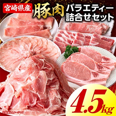 豚肉バラエティー詰合せセット 4.5kg(国富町)