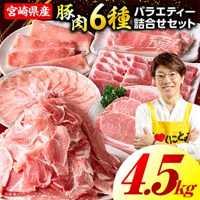 豚肉バラエティー詰合せセット 4.5kg(国富町)