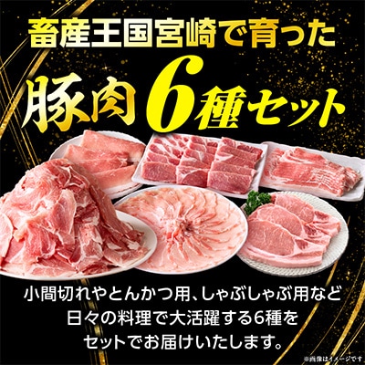 豚肉バラエティー詰合せセット 4.5kg(国富町)