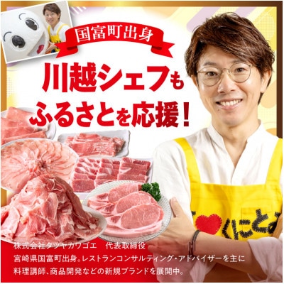 豚肉バラエティー詰合せセット 4.5kg(国富町)