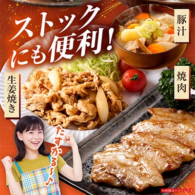豚肉バラエティー詰合せセット 4.5kg(国富町)