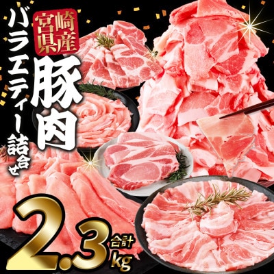 豚肉バラエティー詰合せセット 2.3kg(国富町)
