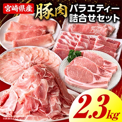 豚肉バラエティー詰合せセット 2.3kg(国富町)