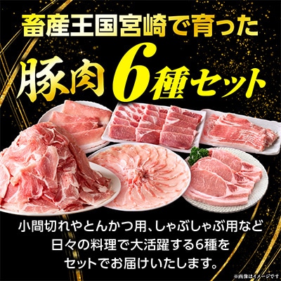豚肉バラエティー詰合せセット 2.3kg(国富町)