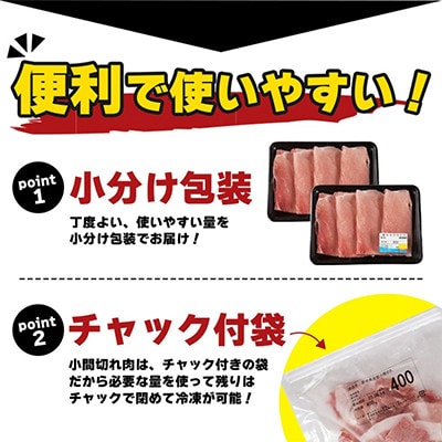豚肉バラエティー詰合せセット 2.3kg(国富町)