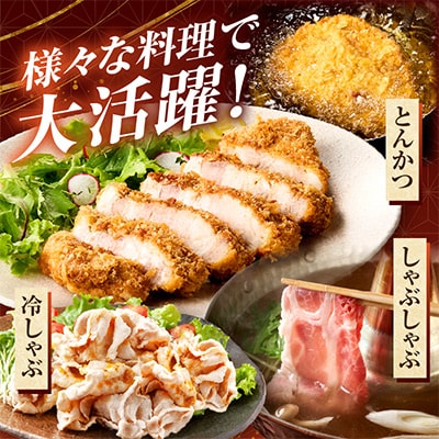 豚肉バラエティー詰合せセット 2.3kg(国富町)