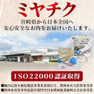 豚肉バラエティー詰合せセット 2.3kg(国富町)