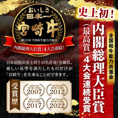 宮崎牛赤身(ウデorモモ)焼肉 計1kg(国富町)