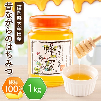 坂井養蜂場　昔ながらの蜂蜜　1000g