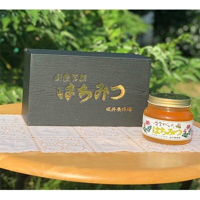 坂井養蜂場　昔ながらの蜂蜜　550g　2本組