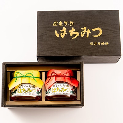 坂井養蜂場　昔ながらの蜂蜜　550g　2本組