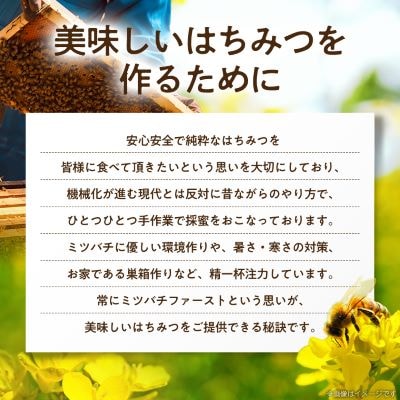 坂井養蜂場　昔ながらの蜂蜜　300g　2本組