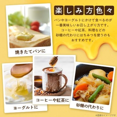 坂井養蜂場　昔ながらの蜂蜜　300g　2本組